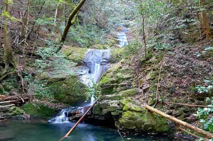 南松の滝・全景